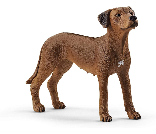 Schleich – Pes Rodézsky ridgeback 13895