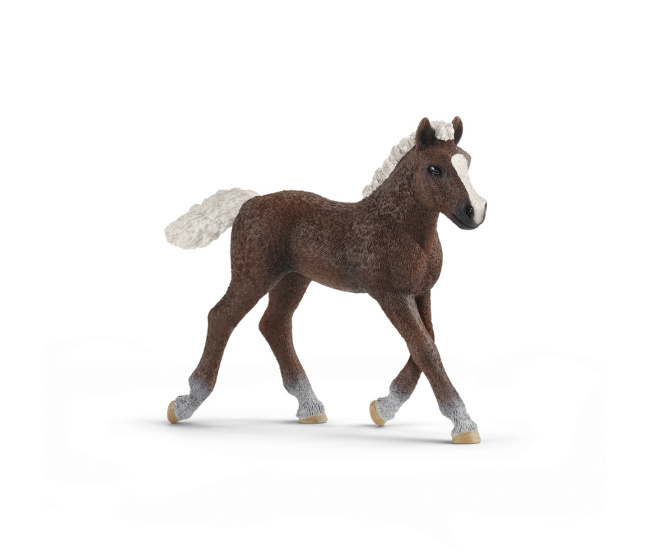 Schleich - Žriebä čierneho lesa 13899