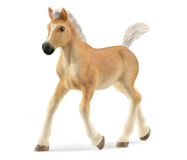 Schleich - Žriebä Haflinger 13951