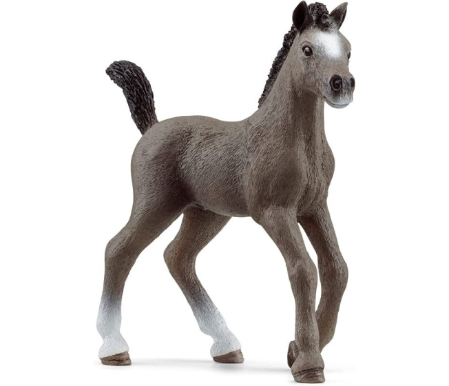 Schleich – Žriebä plemena Selle Francais 13957