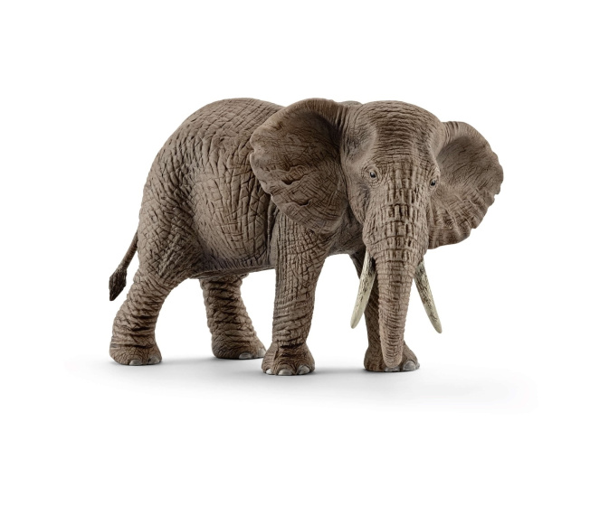 Schleich – Slon africký samica 14761