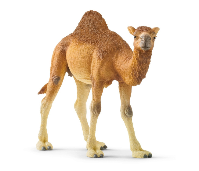 Schleich – Ťava jednohrbá 14832