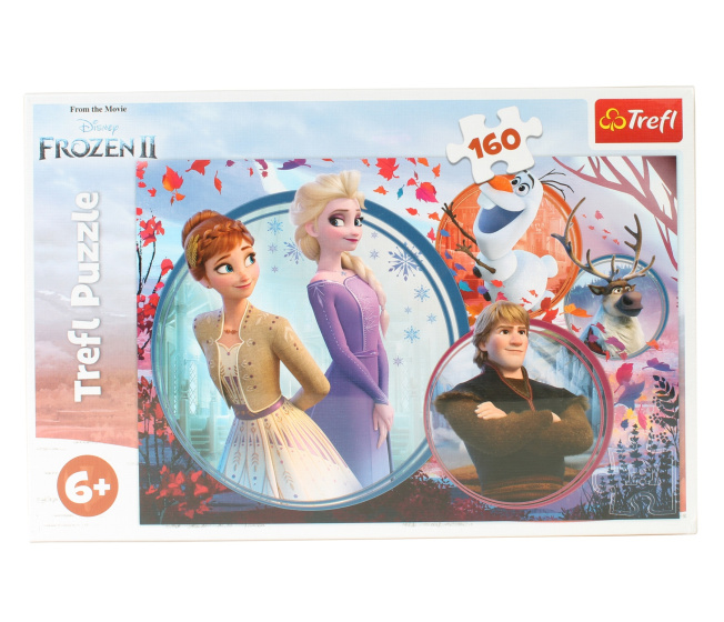 Puzzle 160 – Frozen 2