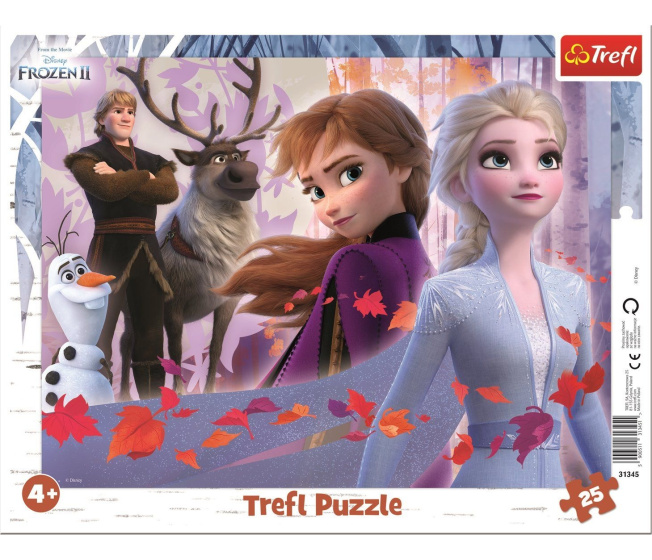 Puzzle 25 – Frozen II